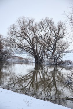 Kış nehir manzarası