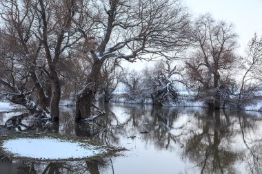Kış nehir manzarası