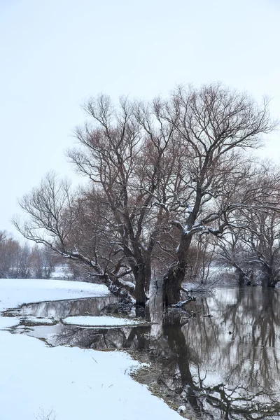 Paysage fluvial hivernal — Photo