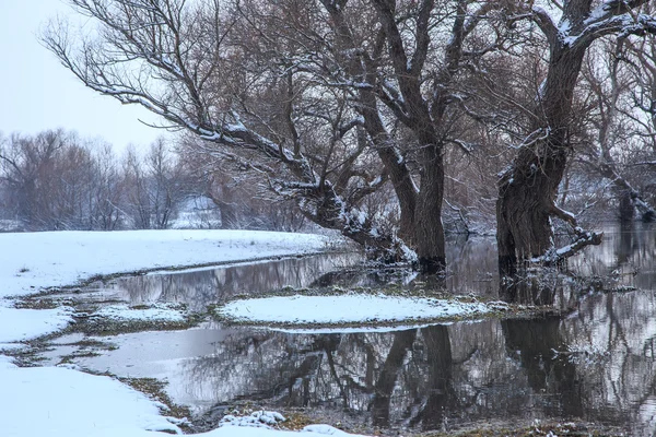 Inverno paesaggio fluviale — Foto Stock
