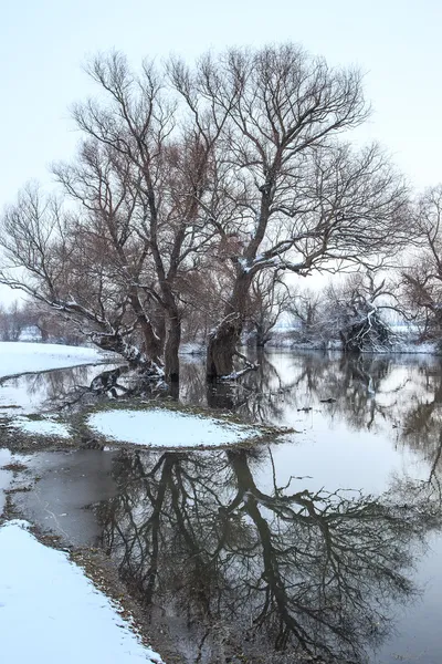 Inverno paesaggio fluviale — Foto Stock