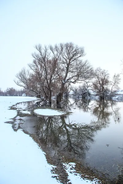 Rivier winterlandschap — Stockfoto