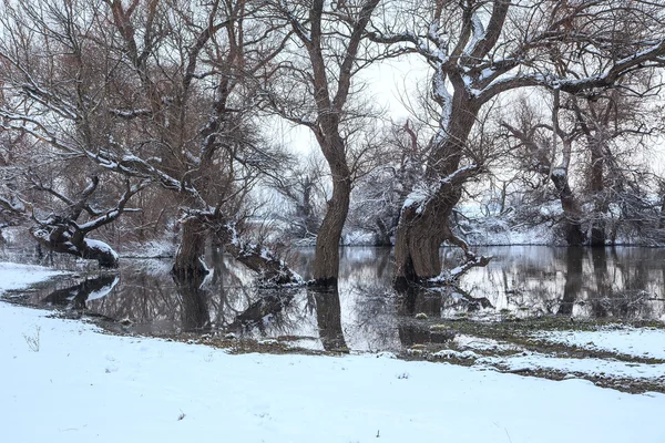Winter river landscape — Stock Photo, Image