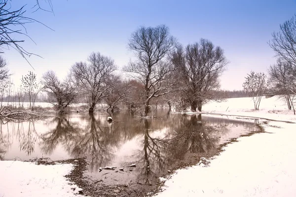 Paysage fluvial hivernal — Photo