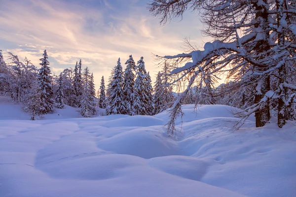 Paesaggio invernale — Foto Stock