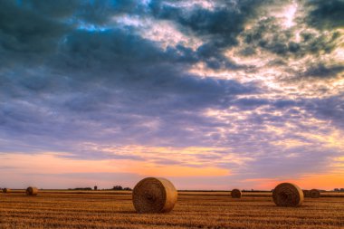 Sunset over farm field with hay bales clipart