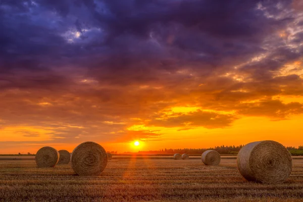 Pôr do sol sobre campo de fazenda com fardos de feno — Fotografia de Stock