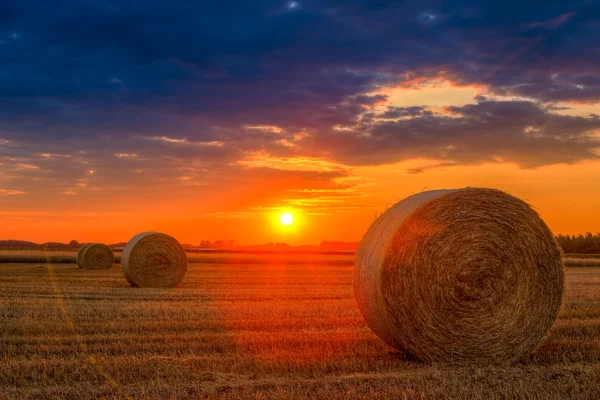 Pôr do sol sobre campo de fazenda com fardos de feno — Fotografia de Stock
