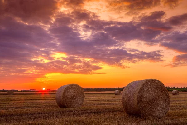 Sunset over farm field with hay bales — Stock Photo, Image