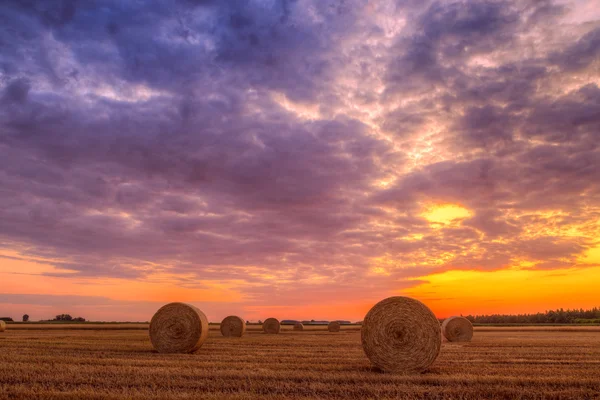 Pôr do sol sobre campo de fazenda com fardos de feno — Fotografia de Stock