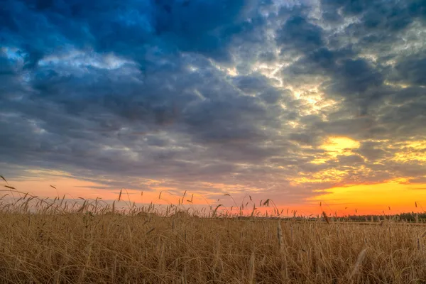 Sunset over farm field with hay bales — Stock Photo, Image