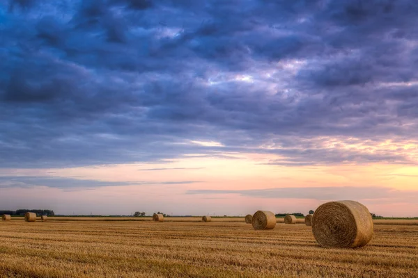 Pôr do sol sobre campo de fazenda com fardos de feno — Fotografia de Stock