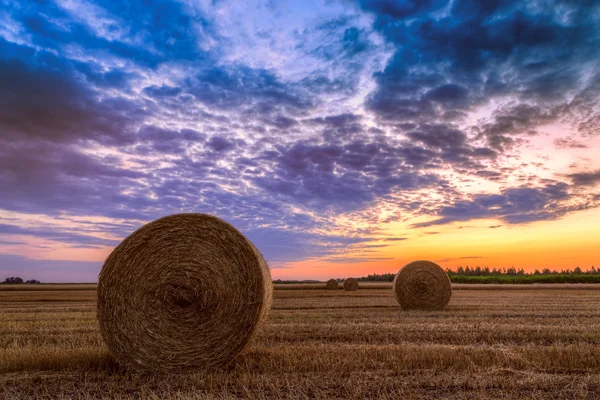 Pôr do sol sobre campo de fazenda com fardos de feno — Fotografia de Stock