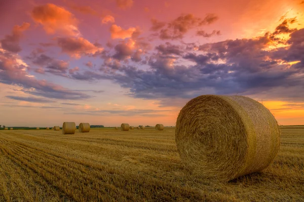 Pôr do sol sobre campo de fazenda com fardos de feno Imagens Royalty-Free