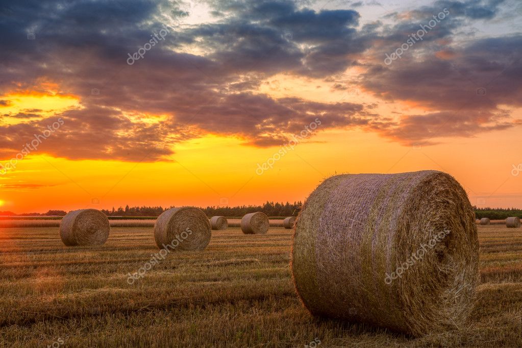 Sunset over farm field with hay bales
