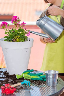 Balkonda yeşil çiçekleri sulayan kadın portresi, apartmandaki küçük rahat bahçe.
