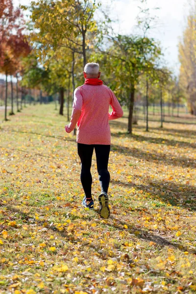 Rear View Senior Man Jogging Park — Stock fotografie