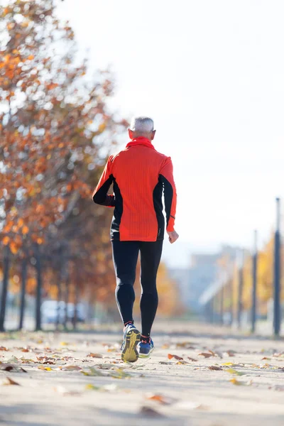 Rear View Senior Man Jogging Park — Fotografia de Stock