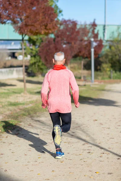 Rear View Senior Man Jogging Park — 图库照片