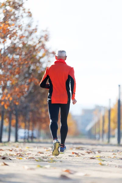 Rear View Senior Man Jogging Park Royalty Free Εικόνες Αρχείου