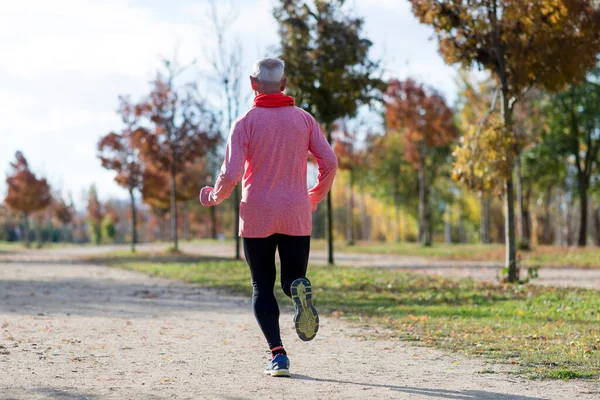 Rear View Senior Man Jogging Park Εικόνα Αρχείου