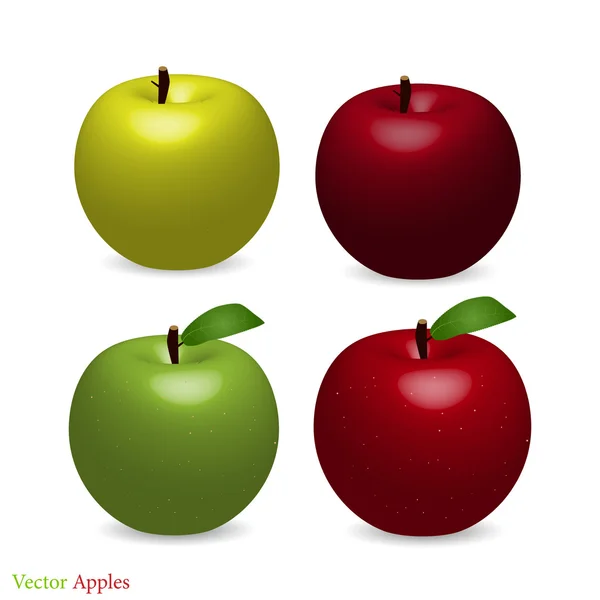 Apples, Vector Illustration — Stock Vector