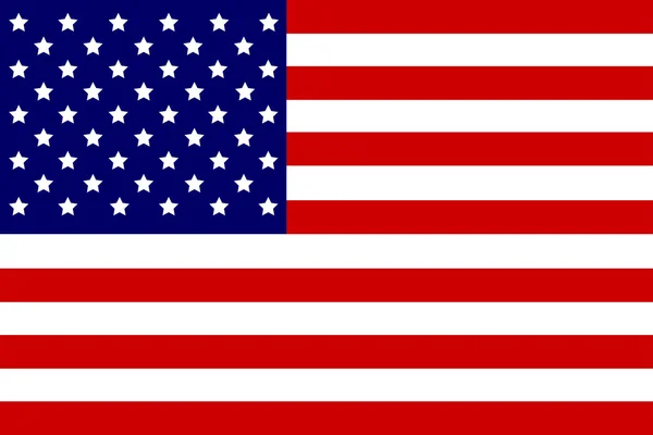 USA flagga, illustration — Stock vektor