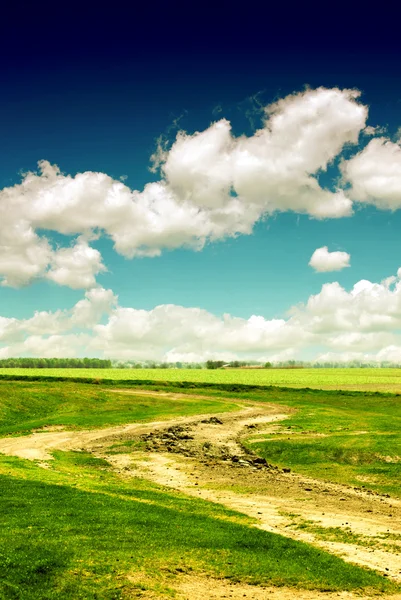 Grüner Weg mit blauem Himmel — Stockfoto