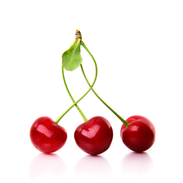 Red cherry over white — Stock Photo, Image