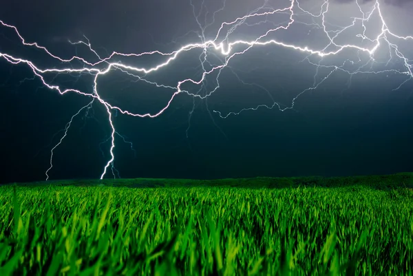 Bliksem boven het veld — Stockfoto