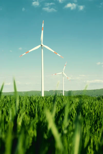 Windenergieanlagen auf dem Feld — Stockfoto