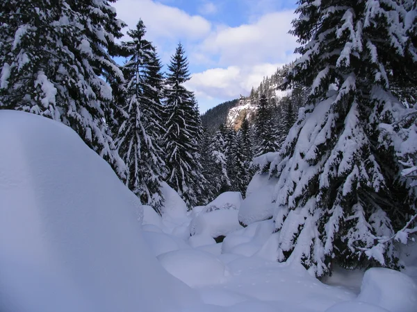 Kış rila — Stok fotoğraf