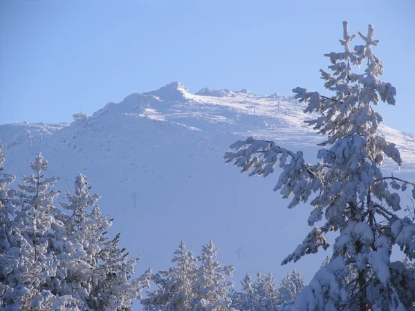 kış Vitosha