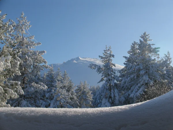 kış Vitosha