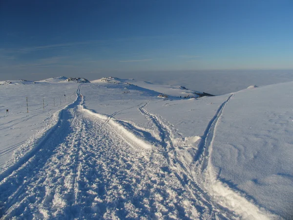 Vitosha de inverno — Fotografia de Stock