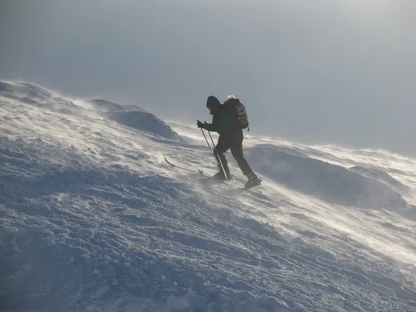 吹雪の中でスキーヤー — ストック写真