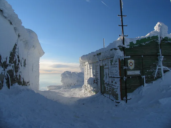 Cobertas de neve — Fotografia de Stock