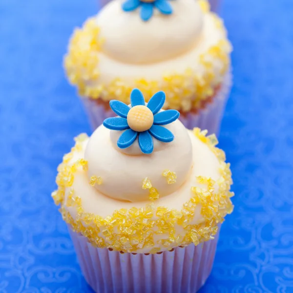 Bolinhos de flores — Fotografia de Stock