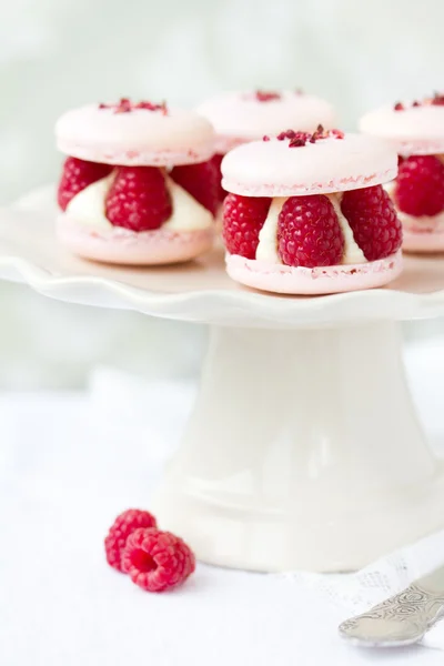 Raspberry macarons — Stock Photo, Image