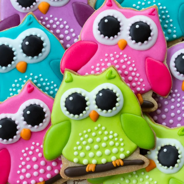 Owl cookies — Stock Photo, Image