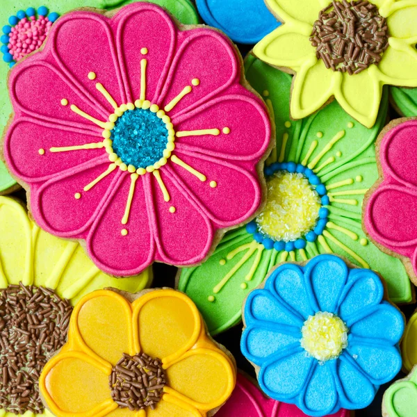 Sfondo cookie colorato — Foto Stock