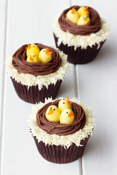 Osterküken-Cupcakes — Stockfoto