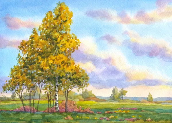 Akvarell landskap. träden i fältet kväll — Stockfoto