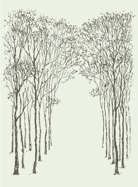 Vektorové pozadí. oblouk rám stromů — Stockový vektor