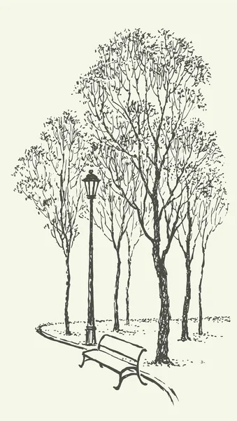 Paisaje vectorial. Banco del parque cerca de la linterna bajo los árboles — Archivo Imágenes Vectoriales