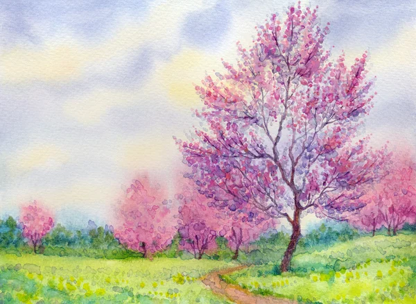 Paisagem de primavera aquarela. Floração árvore em um campo — Fotografia de Stock