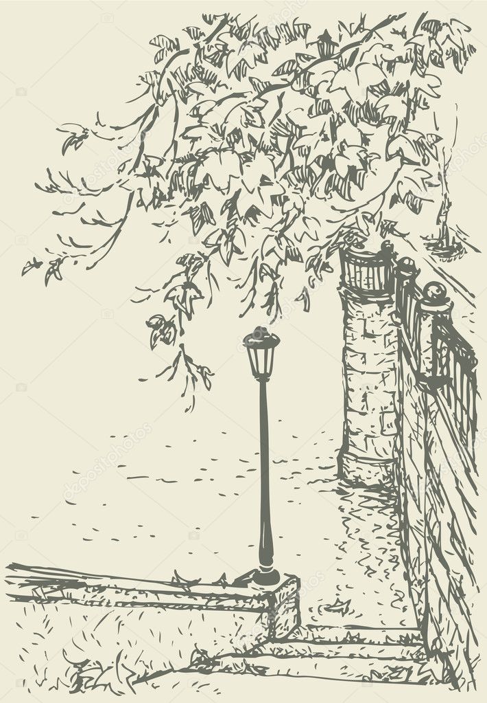 Vector landscape. Drooping branches and lantern on the old quay