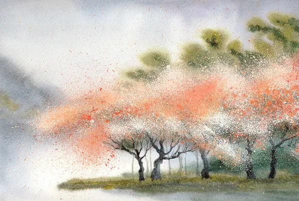 Акварельный пейзаж. Цветущие деревья возле реки — стоковое фото