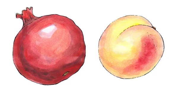 Aquarel schilderij van een set van fruit: granaatappel en perzik — Stockfoto