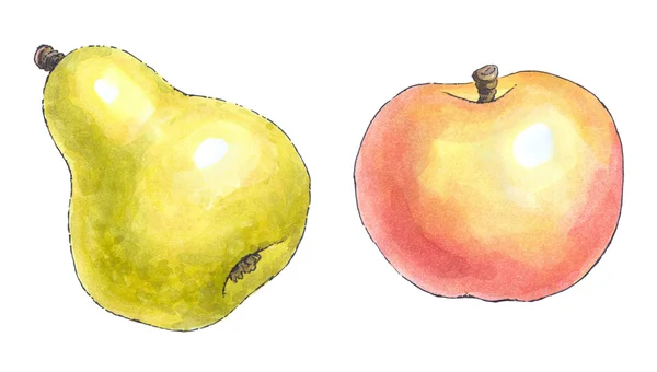 Watercolor painting of a set of fruit: pear and apple — Stock Photo, Image